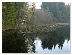 фото "Про отражения"