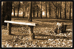 photo "Autumn colour 3"