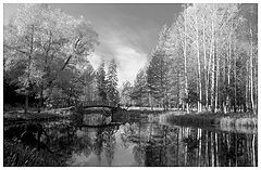 photo "****"