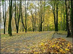 фото "унылая пора - очей очарованье....."