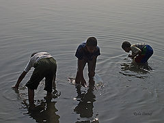 фото "Looking for fish"