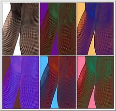 photo "Colored legs"