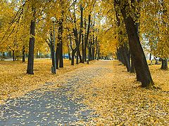 photo "Autumn.Petrozavodsk."