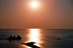 photo "Bronze horizon"