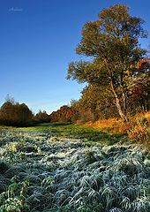 photo "Untitled photo"