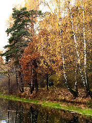 photo "Untitled photo"
