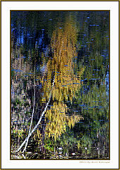 photo "Impressionism of nature"
