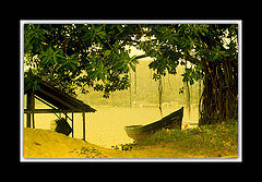 photo "Resting in a fog morning"