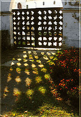 photo "Autumn colour 4"