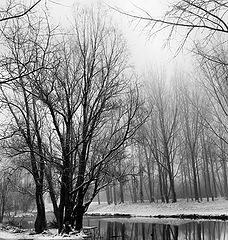 photo "water and snow"