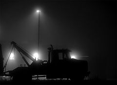 photo "Rusty"