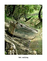 фото "not sailing"