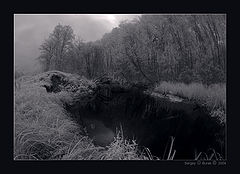 photo "Landscape in an IR spectrum – End"