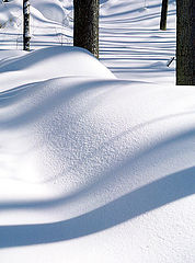 фото "Snow and shadow (1)"