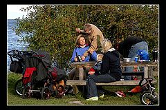 photo "Fall etude 2"