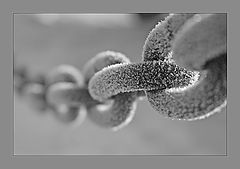 photo "Frost"