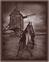 photo "***"