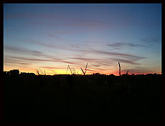 фото "#Sun and Light#"
