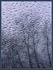 photo "Rainy Tuesday (part one)"