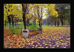 photo "The summer is gone..."