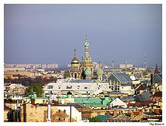 фото "Без названия"