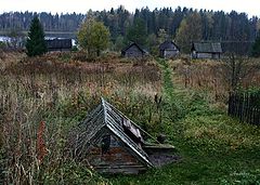 photo "Untitled photo"