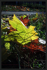 photo "***"