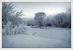 photo "At frozen small river..."