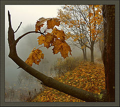 photo "Autumn in city park"