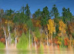 фото "The autumn breeze rises..."