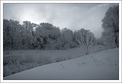 photo "Winter silence"
