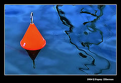 фото "Red on blue"