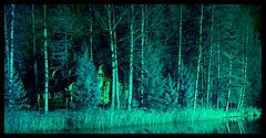 фото "Halloween house"