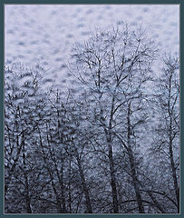 photo "Rainy Tuesday (part two)"