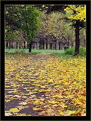 photo "***"