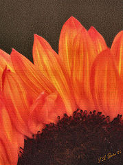 photo "On Fire"