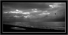 photo "from the sea - 2"