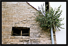 photo "Contrasts #3"