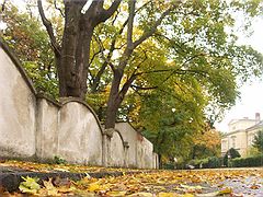 photo "Autumn street"