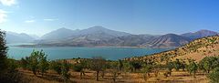 photo "Untitled photo"