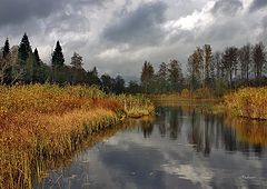 photo "Untitled photo"