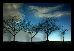 фото "Dreamscapes 2"