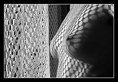 фото "shapes I."
