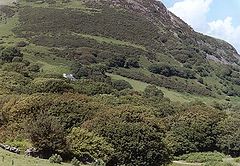 фото "Hills are Alive"