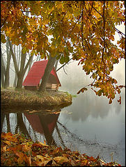 photo "Sad autumn?"