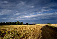 photo "The summer was terminated"