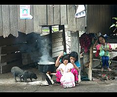 фото "Зеленый шарик"