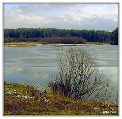 photo "Reflection of the sky in the remains of water"