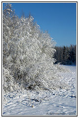 photo "Winter fairy tale"