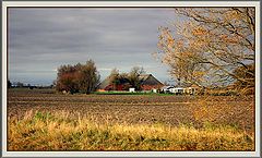 фото "" Золото осени 2""